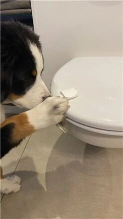 DogSpace Puppy Proofing Starter Kit -Wahl Dogs Shop 2540 9 6 m2 28600x60029