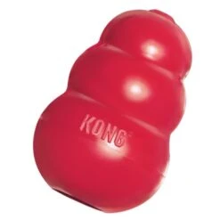 KONG Classic Dog Chew Treat Toy