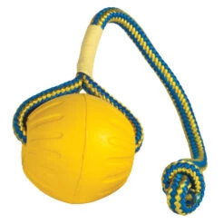 Starmark Swing & Fling Durafoam Ball