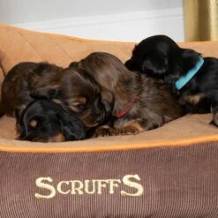 Scruffs® Thermal Box Bed - Brown & Tan -Wahl Dogs Shop 677250LS4