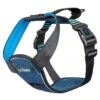 Company Of Animals Carsafe Crash Tested Dog Harness Blue