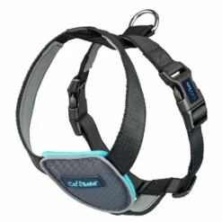 Carsafe Travel Harness