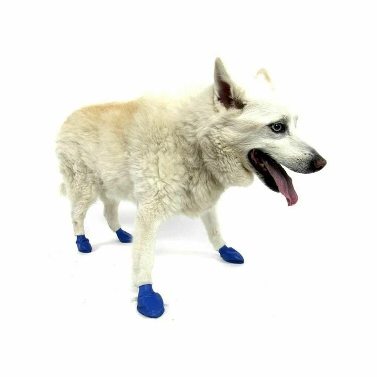 Pawz Dog Boots Blue Medium 1 Pawz Dog Boots Blue Medium