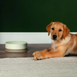 Scruffs® Scandi Non Tip Bowl Cream -Wahl Dogs Shop 823205 2 1