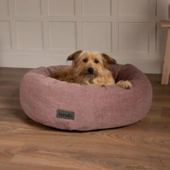 Scruffs® Oslo Ring Dog Bed - Blush Pink -Wahl Dogs Shop 8249053