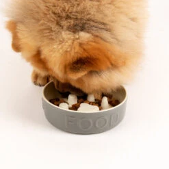Scruffs® Classic Slow Feeder Pet Bowl Grey -Wahl Dogs Shop 825476 4