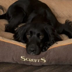 Scruffs® Thermal Box Bed - Brown & Tan -Wahl Dogs Shop BrownThermalBoxBed2