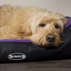 Scruffs® Expedition Box Bed - Plum -Wahl Dogs Shop PlumExpeditionBoxBed1