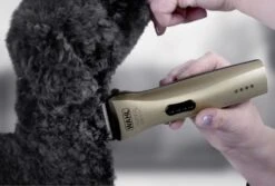 Wahl Super Groom Cordless Dog Grooming Clipper Kit -Wahl Dogs Shop WM6872 800X Supergroom Clipper High 1024x691 1