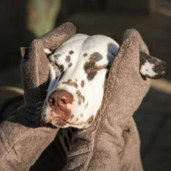 Lords & Labradors Bamboo Dog Drying Mits Mole 5 Lords & Labradors Bamboo Dog Drying Mits Mole -Wahl Dogs Shop brown mitt 001