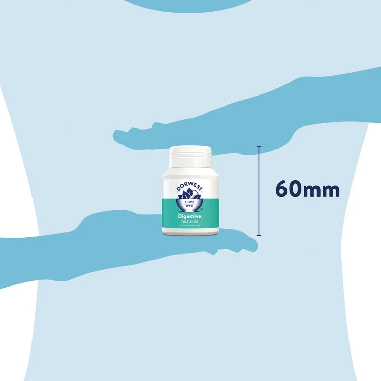 Dorwest Digestive Supplement Tablets 4 Dorwest Digestive Supplement Tablets - Image 4