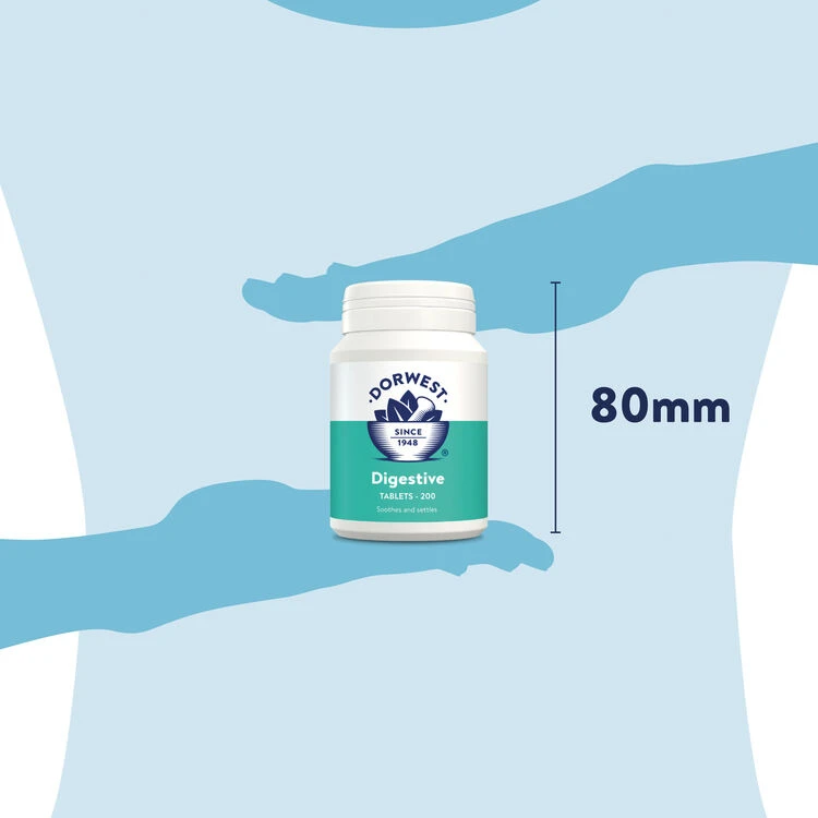 Dorwest Digestive Supplement Tablets 8 Dorwest Digestive Supplement Tablets - Image 8