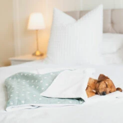 Lords & Labradors Cotton Dog Blanket Duck Egg Spot