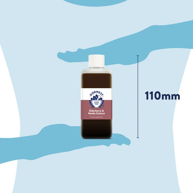 Dorwest Elderberry & Nettle Extract 4 Dorwest Elderberry & Nettle Extract - Image 4