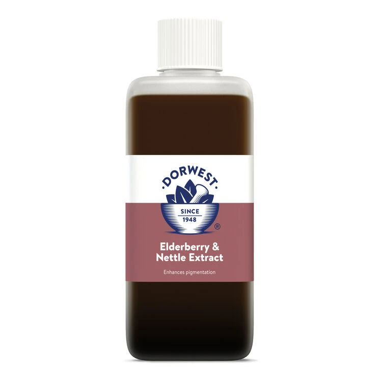 Dorwest Elderberry & Nettle Extract 1 Dorwest Elderberry & Nettle Extract