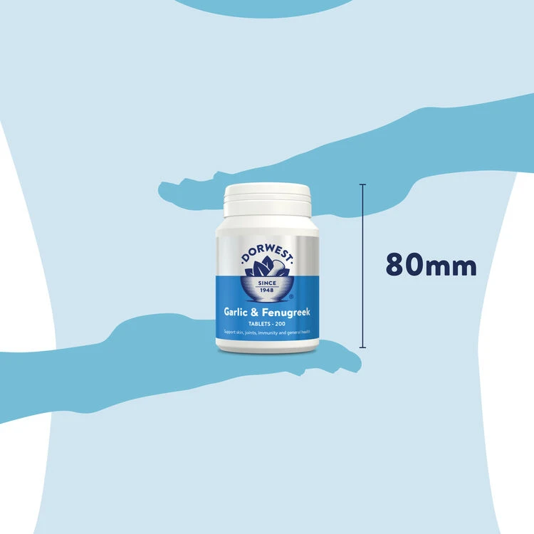 Dorwest Garlic & Fenugreek Tablets 6 Dorwest Garlic & Fenugreek Tablets - Image 6