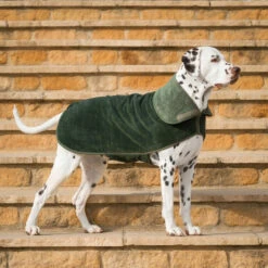 Lords & Labradors Bamboo Dog Drying Coat Fir -Wahl Dogs Shop green coat 002