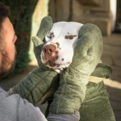 Lords & Labradors Bamboo Dog Drying Mits Fir -Wahl Dogs Shop green mitt 001