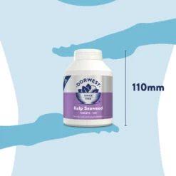 Dorwest Kelp Seaweed Tablets 21 Dorwest Kelp Seaweed Tablets -Wahl Dogs Shop ks500 pt12