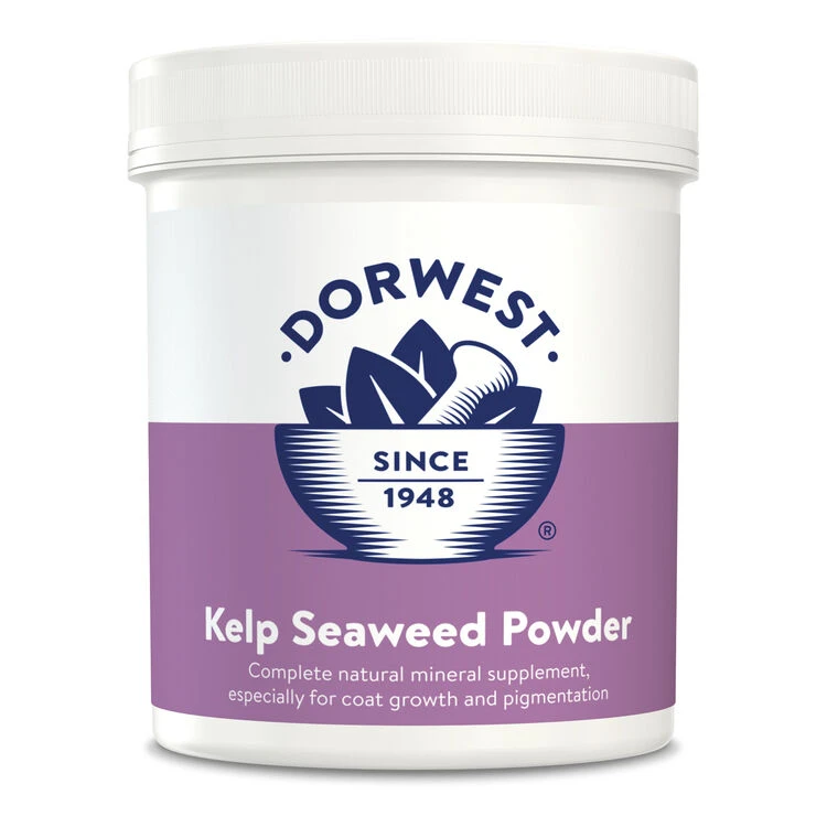 Dorwest Kelp Seaweed Powder 3 Dorwest Kelp Seaweed Powder - Image 3