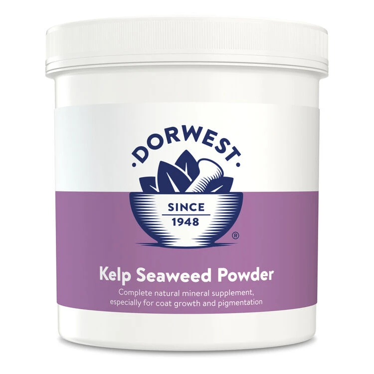 Dorwest Kelp Seaweed Powder 1 Dorwest Kelp Seaweed Powder