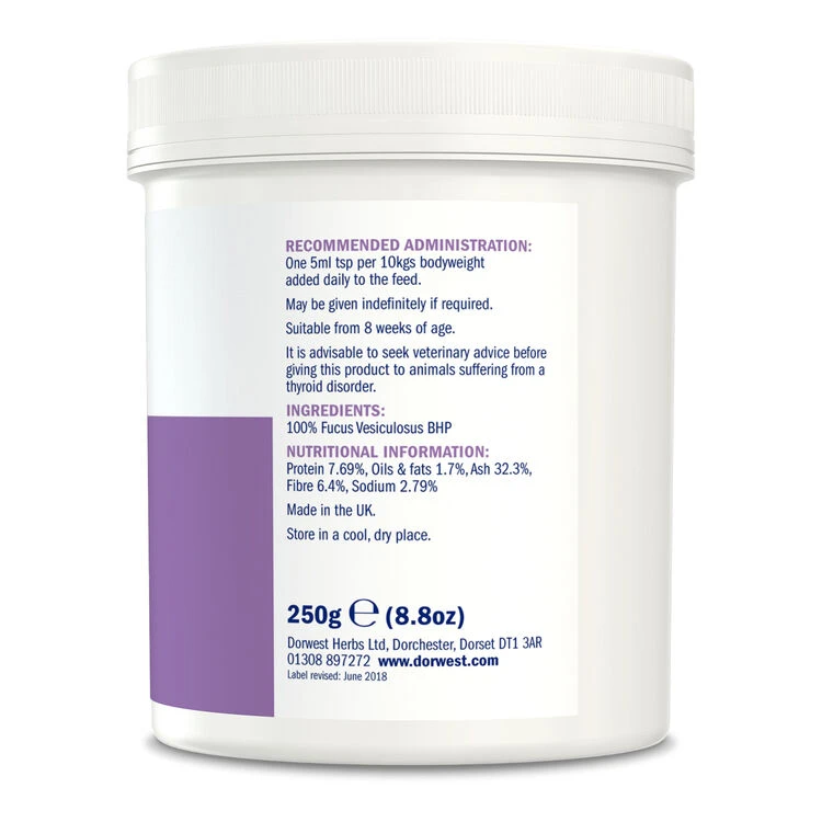 Dorwest Kelp Seaweed Powder 5 Dorwest Kelp Seaweed Powder - Image 5