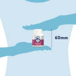 Dorwest Raspberry Leaf Tablets 14 Dorwest Raspberry Leaf Tablets -Wahl Dogs Shop rl100 pt12