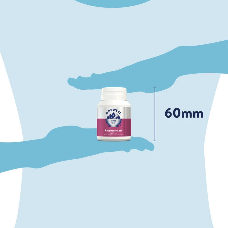 Dorwest Raspberry Leaf Tablets 3 Dorwest Raspberry Leaf Tablets - Image 3