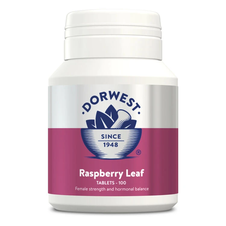 Dorwest Raspberry Leaf Tablets 1 Dorwest Raspberry Leaf Tablets