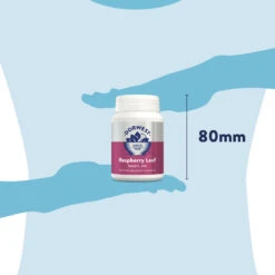 Dorwest Raspberry Leaf Tablets 18 Dorwest Raspberry Leaf Tablets -Wahl Dogs Shop rl200 pt12