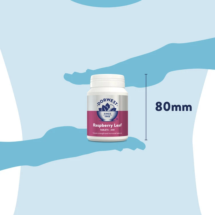 Dorwest Raspberry Leaf Tablets 7 Dorwest Raspberry Leaf Tablets - Image 7