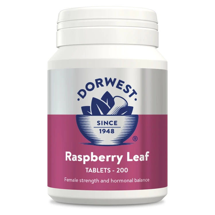 Dorwest Raspberry Leaf Tablets 5 Dorwest Raspberry Leaf Tablets - Image 5