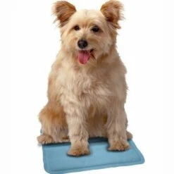 SnuggleSafe Instant Cooling Pad For Pets