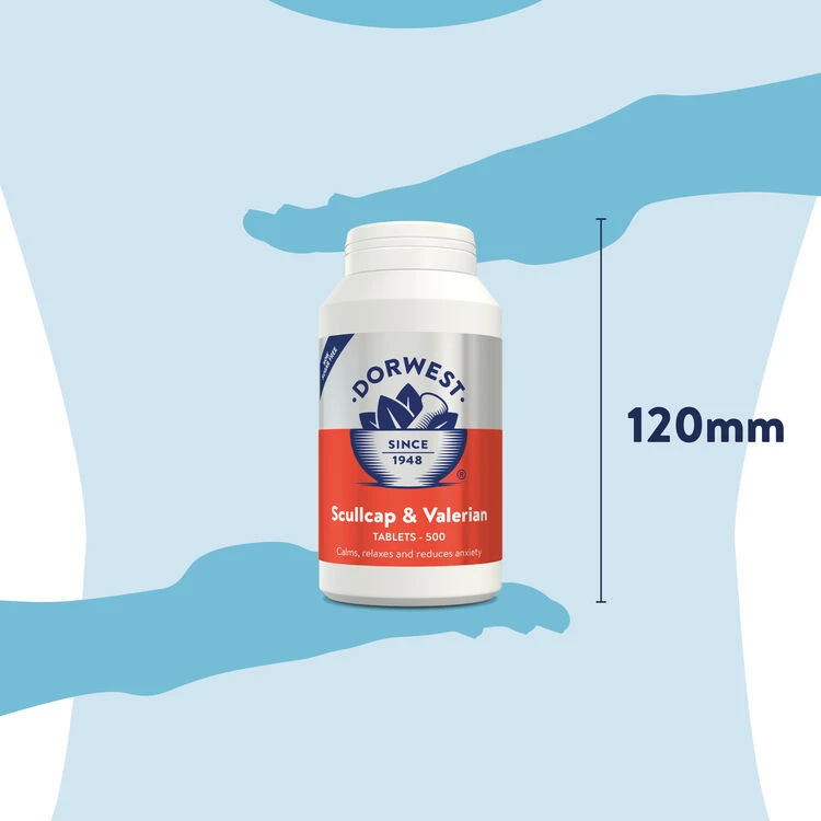 Dorwest Scullcap & Valerian Tablets For Pets 11 Dorwest Scullcap & Valerian Tablets For Pets - Image 11