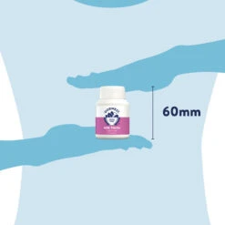 Dorwest Milk Thistle Tablets -Wahl Dogs Shop th100 pt12