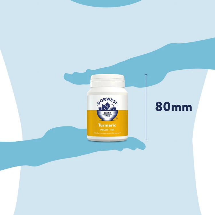 Dorwest Turmeric Tablets 8 Dorwest Turmeric Tablets - Image 8