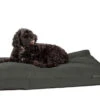 Danish Design Antibacterial Dog Bed In Green